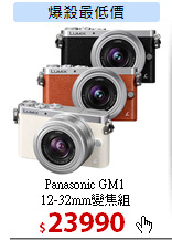 Panasonic GM1<BR>12-32mm變焦組