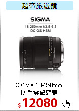 SIGMA 18-250mm<br>
防手震旅遊鏡