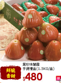 黑珍珠蓮霧<br>手提禮盒(1.5KG/盒)