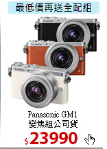 Panasonic GM1<br>
變焦組公司貨