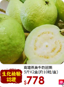 高雄燕巢牛奶芭樂<br>5斤X2盒(約10粒/盒)