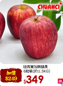 紐西蘭加樂蘋果<br>6粒裝(約1.5KG)