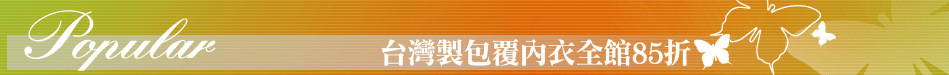 台灣製包覆內衣全館85折