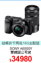 SONY A6000Y<BR>
雙鏡組公司貨