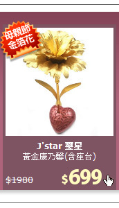 黃金康乃馨(含座台)
