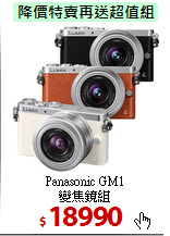 Panasonic GM1<br>
變焦鏡組