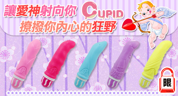 情趣