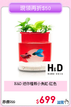 H&D 迷你植栽小魚缸-紅色