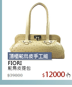 鴕鳥皮提包