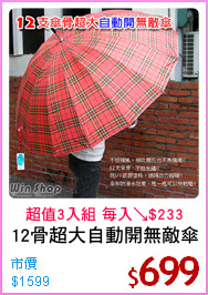 12骨超大自動開無敵傘