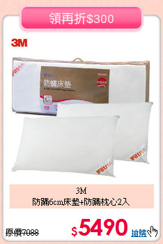 3M<BR>
防蹣6cm床墊+防蹣枕心2入