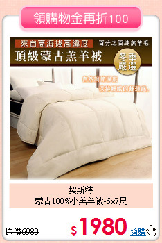 契斯特<BR>
蒙古100%小羔羊被-6x7尺