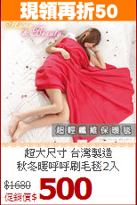 超大尺寸 台灣製造<BR>
秋冬暖呼呼刷毛毯2入