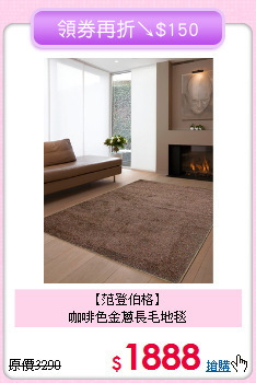 【范登伯格】<BR>
咖啡色金蔥長毛地毯