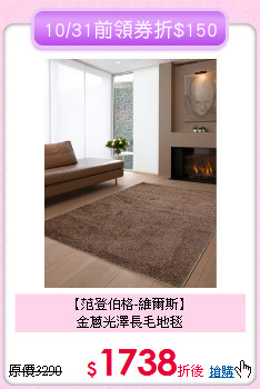 【范登伯格-維爾斯】<BR>
金蔥光澤長毛地毯
