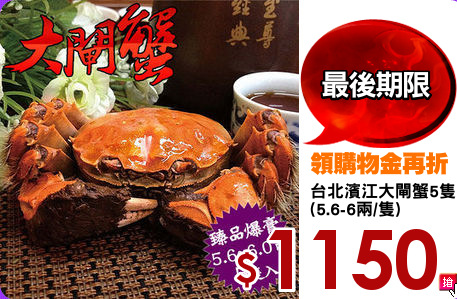 台北濱江大閘蟹5隻
(5.6-6兩/隻)