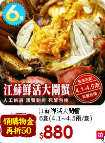 江蘇鮮活大閘蟹<br>6隻(4.1~4.5兩/隻)