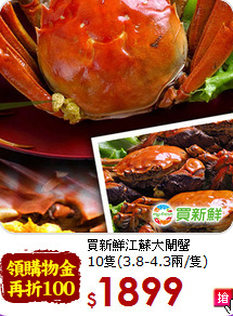 買新鮮江蘇大閘蟹<br>10隻(3.8-4.3兩/隻)
