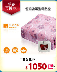 恆溫型電熱毯
