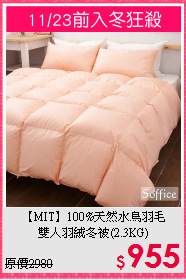 【MIT】100%天然水鳥羽毛<BR>
雙人羽絨冬被(2.3KG)
