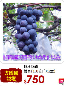 新社巨峰<br>葡萄(1.8公斤X2盒)