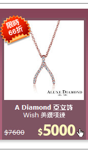 Wish 美鑽項鍊