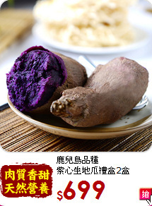 鹿兒島品種<br>紫心生地瓜禮盒2盒