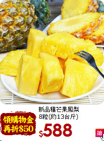 新品種芒果鳳梨<br>8粒(約13台斤)