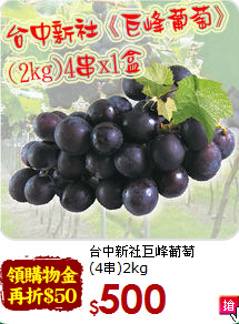 台中新社巨峰葡萄<br>(4串)2kg