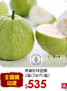 燕巢珍珠芭樂<br>2盒(5台斤/盒)