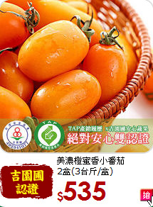 美濃橙蜜香小番茄<br>2盒(3台斤/盒)