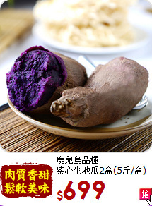 鹿兒島品種<br>紫心生地瓜2盒(5斤/盒)
