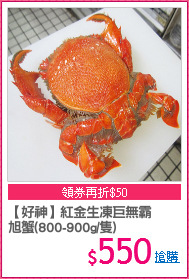 【好神】紅金生凍巨無霸
旭蟹(800-900g/隻)