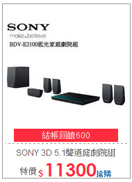 SONY 3D 5.1聲道庭劇院組
