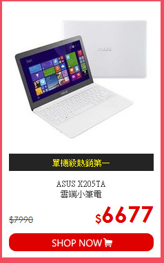 ASUS X205TA<br>雲端小筆電