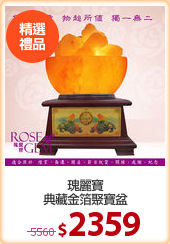 瑰麗寶
典藏金箔聚寶盆
