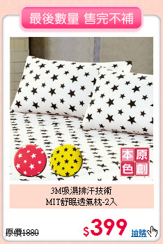 3M吸濕排汗技術<BR>
MIT舒眠透氣枕-2入