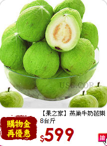 【果之家】燕巢牛奶芭樂<br>8台斤
