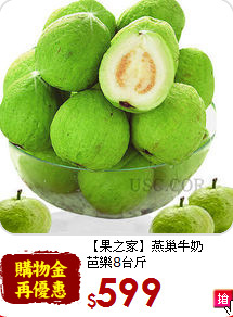 【果之家】燕巢牛奶<br>芭樂8台斤