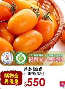 美濃橙蜜香<br>小番茄(5斤)