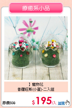 】寵物花<br>
普羅旺斯(小蛋)-二入組