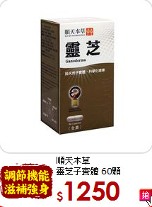 順天本草 <br>靈芝子實體 60顆