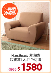 HomeBeauty 激涼感
沙發套1人-四色可選
