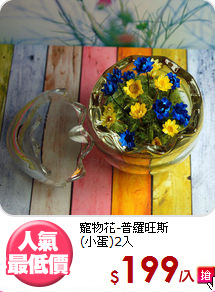 寵物花-普羅旺斯<BR>
(小蛋)2入