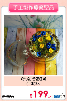 寵物花-普羅旺斯<br>
(小蛋)2入