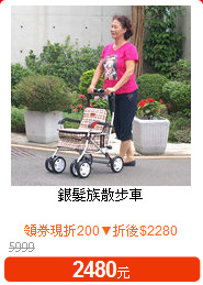 銀髮族散步車