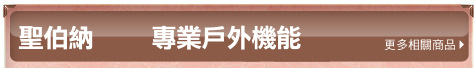 聖伯納