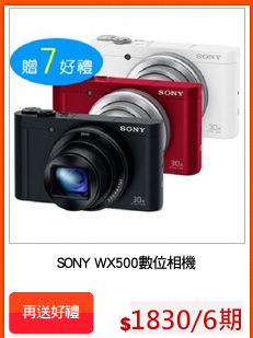 SONY WX500數位相機