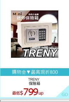 TRENY 
保險箱