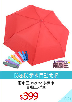 雨傘王 BigRed冰棒傘
自動三折傘